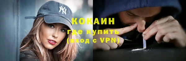 молекула духа Алексин