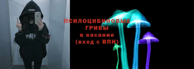 СК Абаза