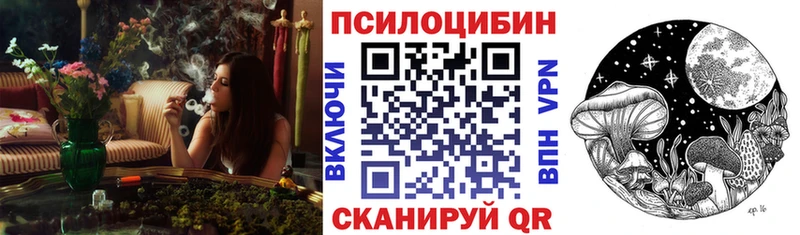 Галлюциногенные грибы Psilocybe  Чердынь 